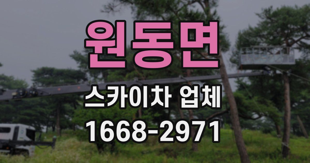 원동면 스카이차 업체