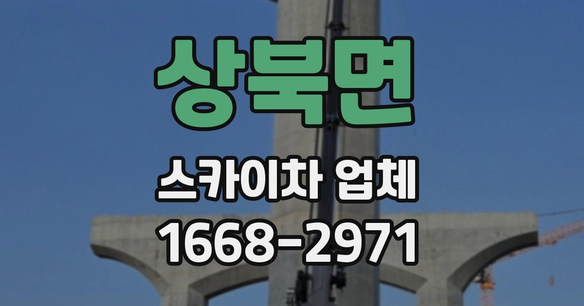 상북면 스카이차 업체