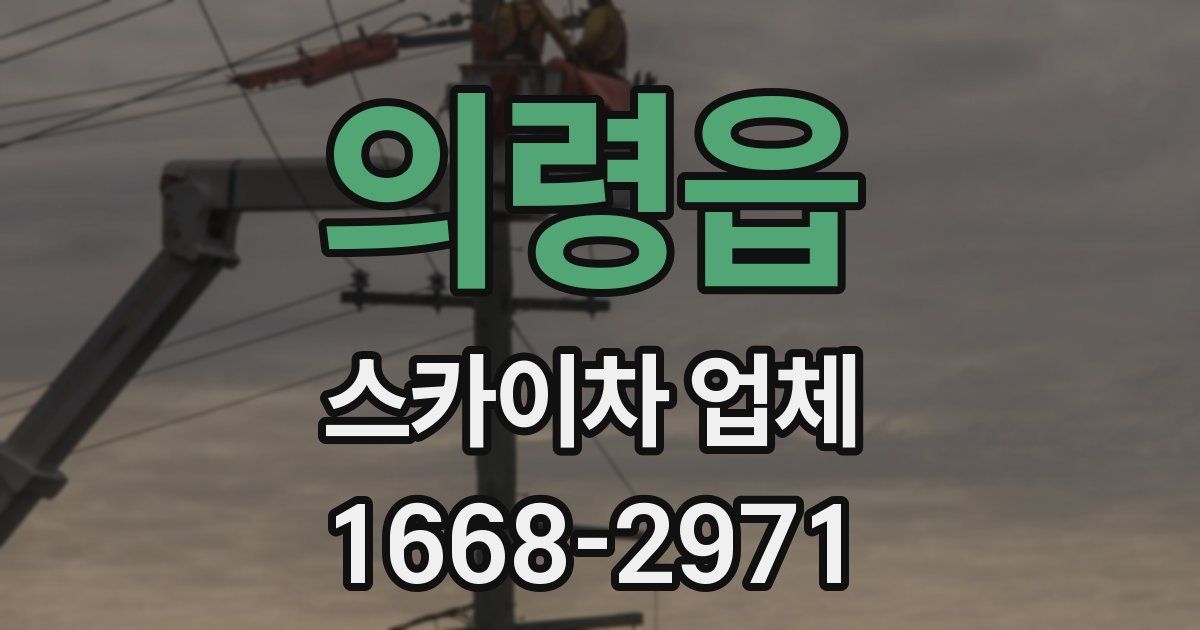 의령읍 스카이차 업체