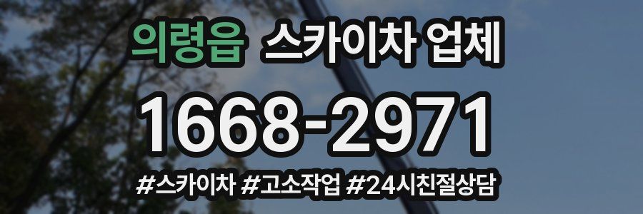 의령읍 스카이차 업체