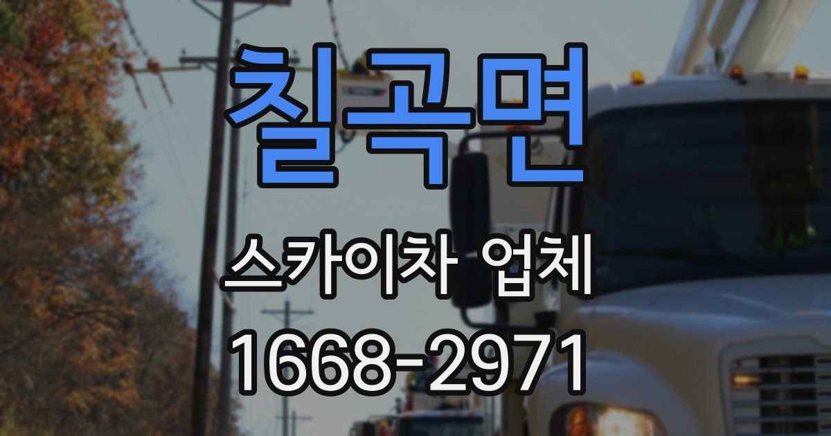 칠곡면 스카이차 업체