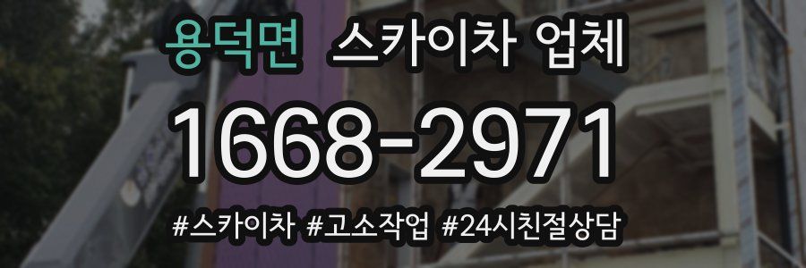 용덕면 스카이차 업체