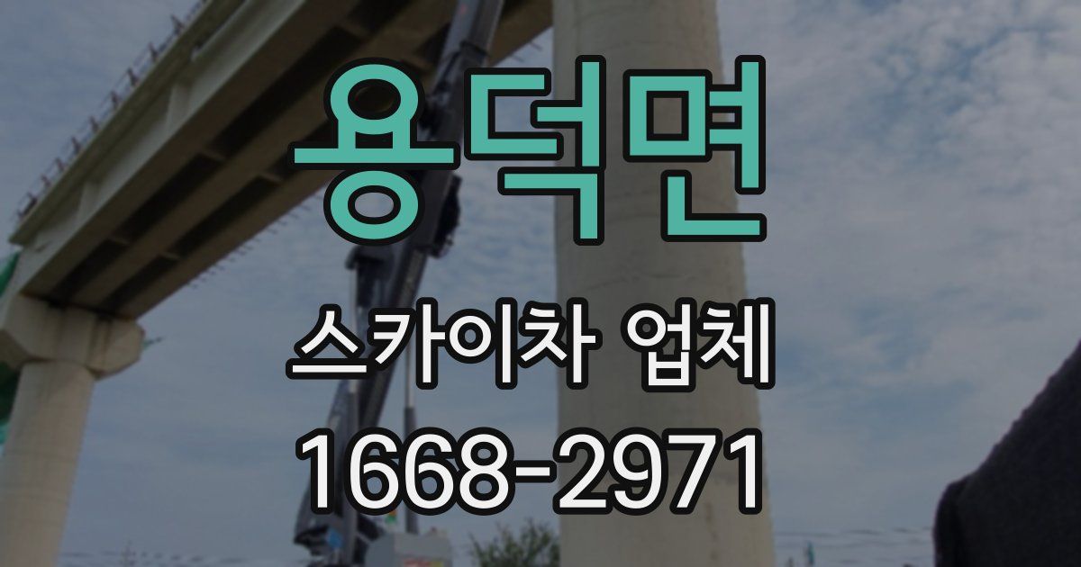 용덕면 스카이차 업체