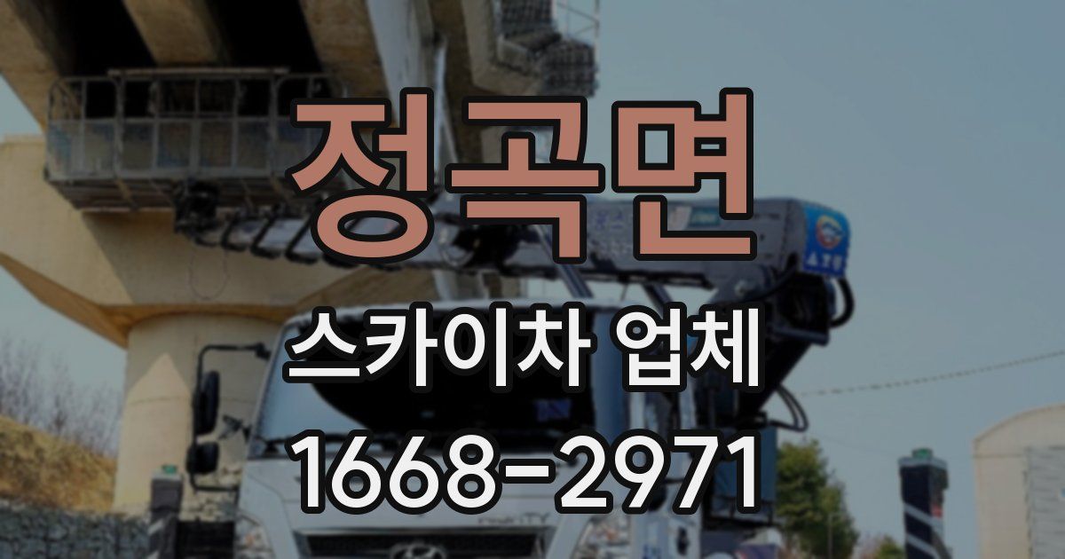 정곡면 스카이차 업체