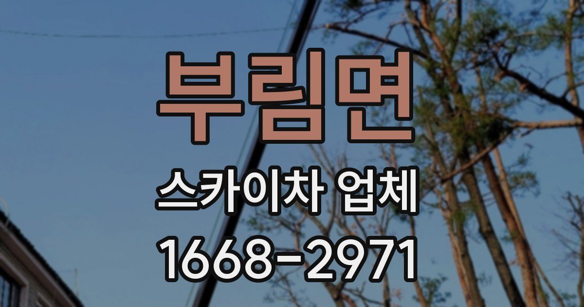 부림면 스카이차 업체