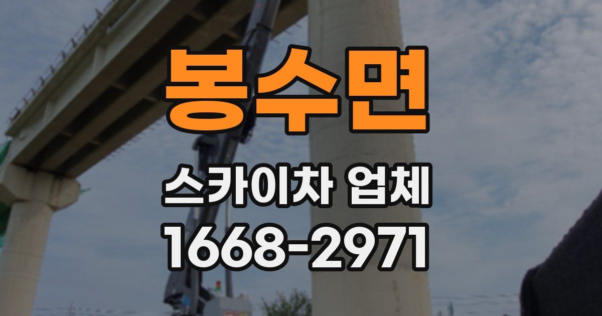 봉수면 스카이차 업체