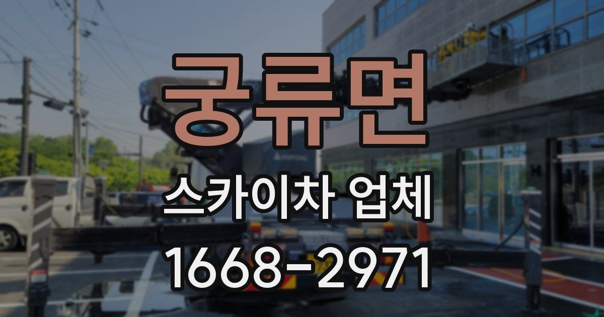궁류면 스카이차 업체