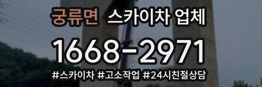 궁류면 스카이차 업체