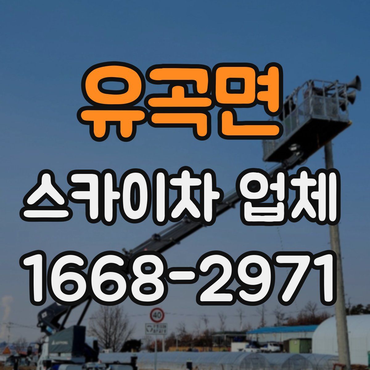 유곡면 스카이차 업체