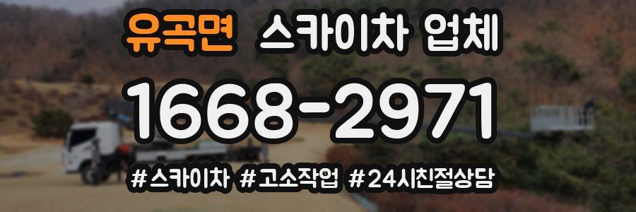 유곡면 스카이차 업체