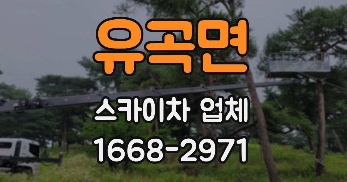 유곡면 스카이차 업체