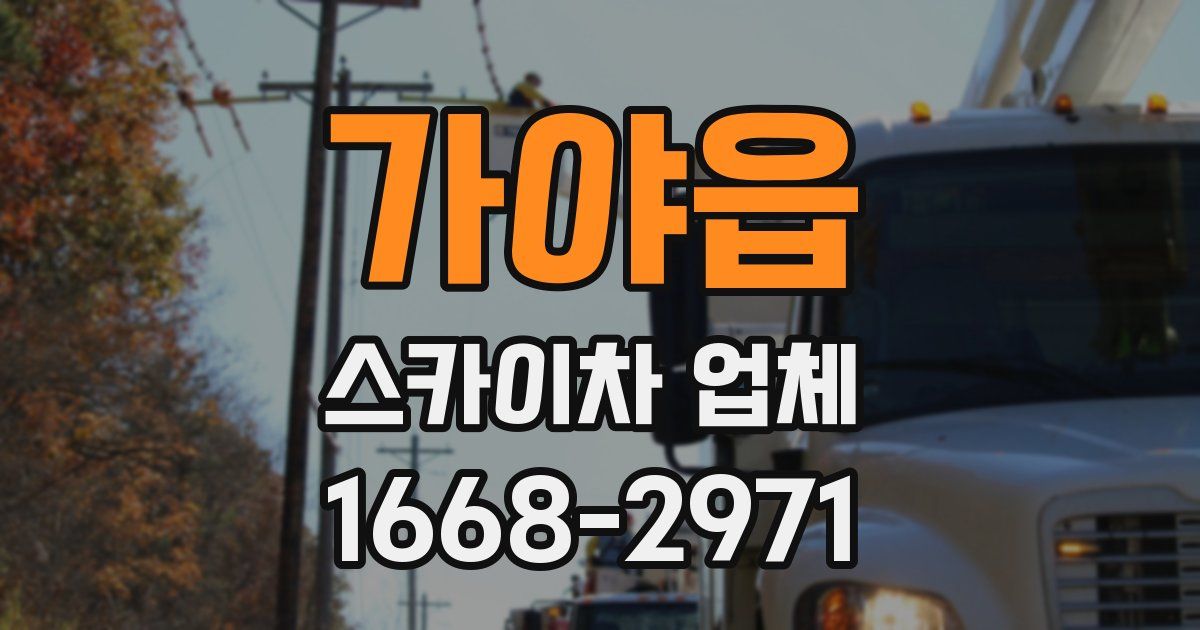 가야읍 스카이차 업체