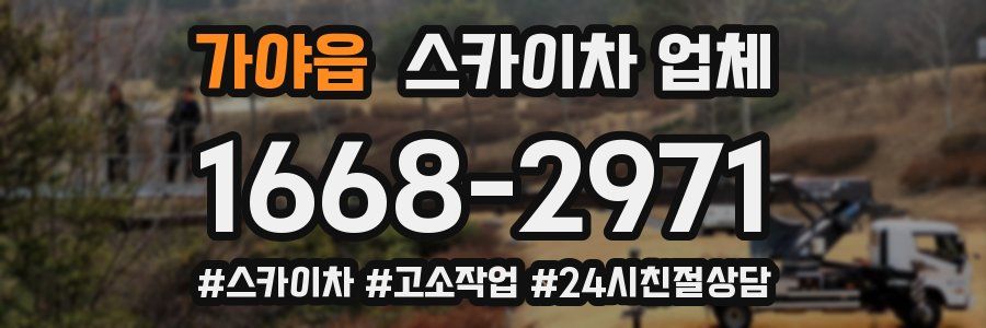 가야읍 스카이차 업체