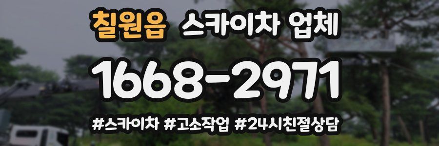 칠원읍 스카이차 업체