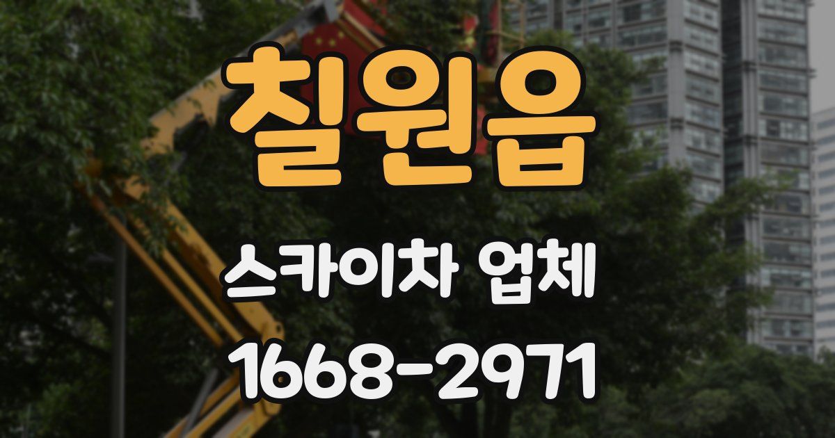칠원읍 스카이차 업체