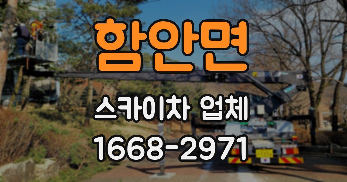 함안면 스카이차 업체