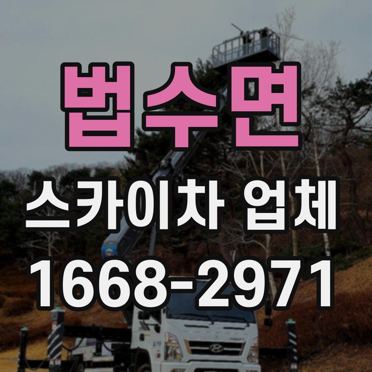 법수면 스카이차 업체