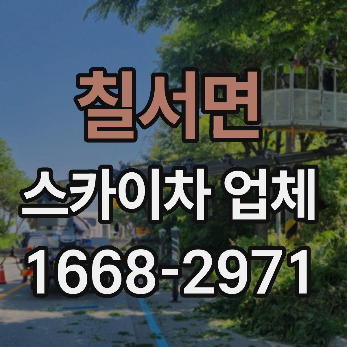 칠서면 스카이차 업체