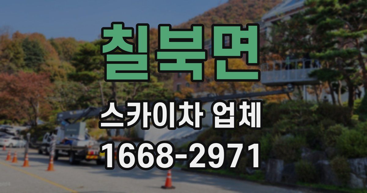 칠북면 스카이차 업체