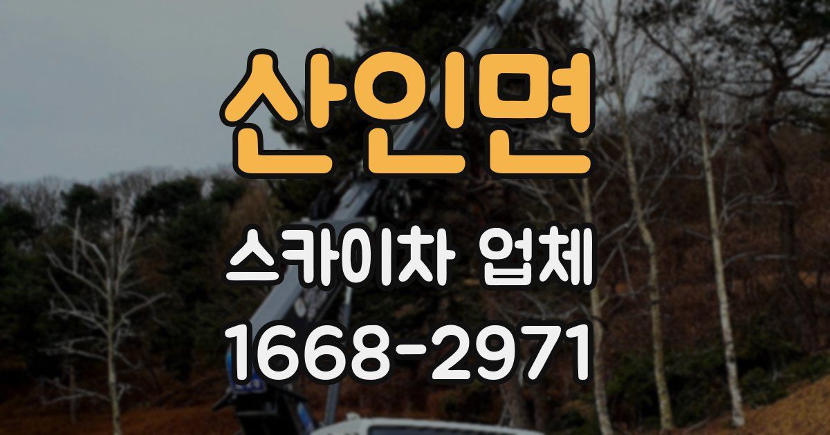 산인면 스카이차 업체