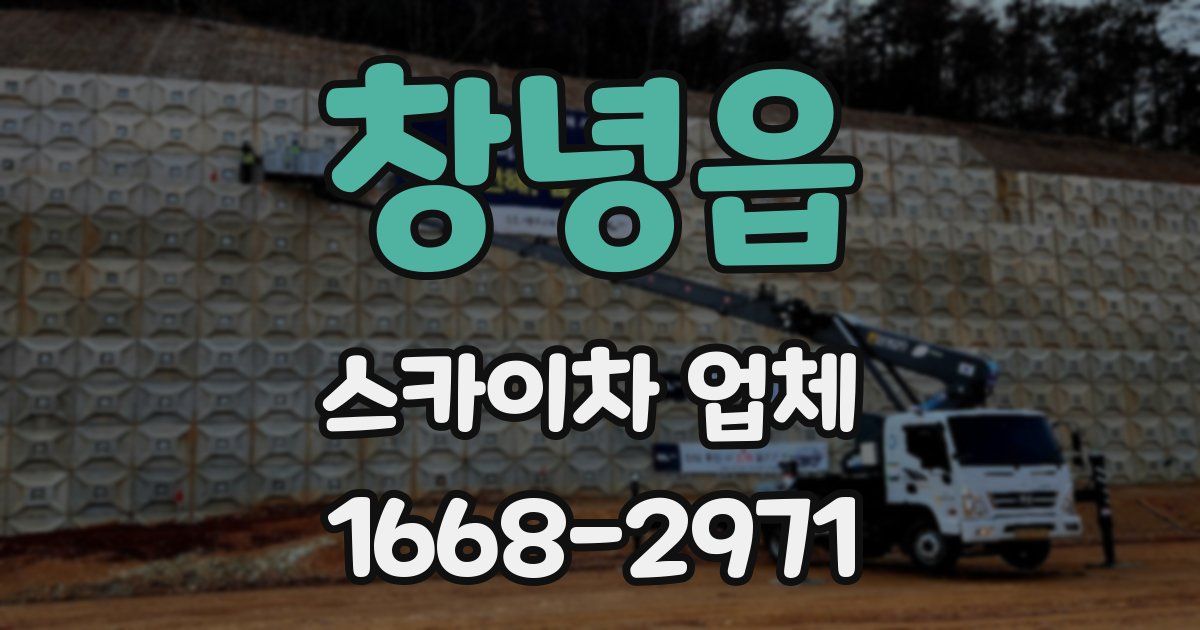 창녕읍 스카이차 업체