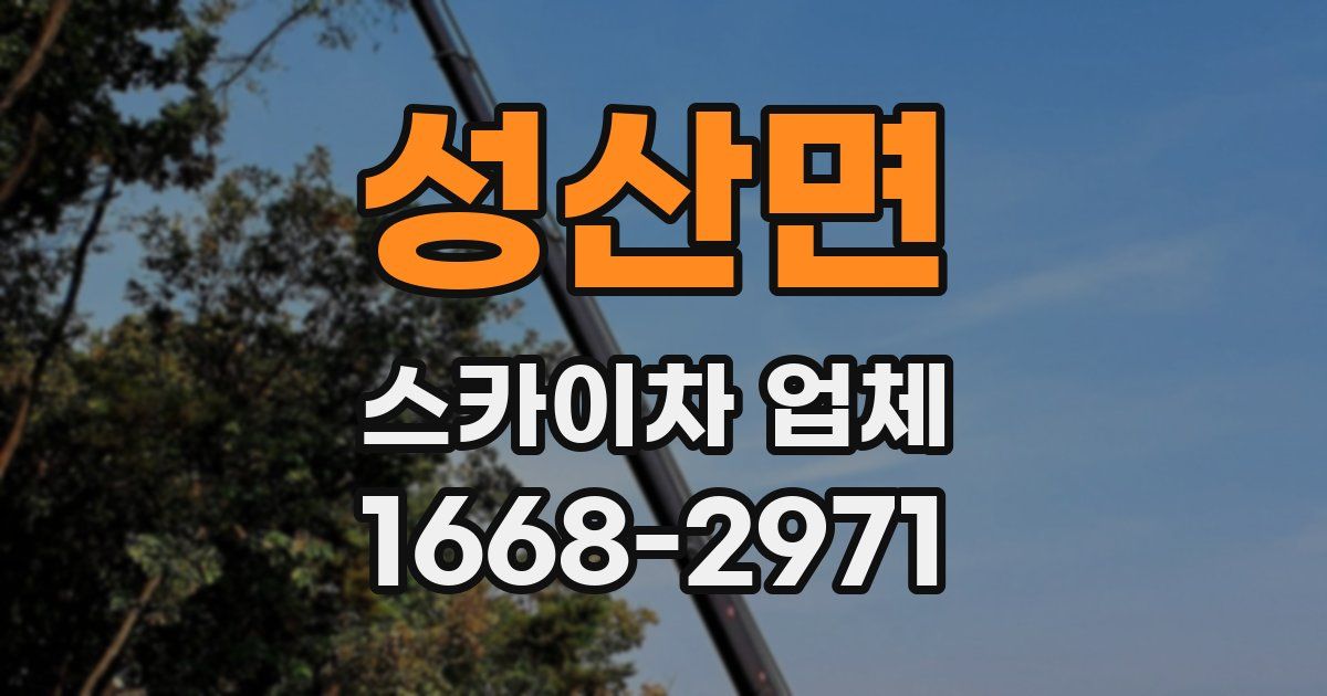 성산면 스카이차 업체