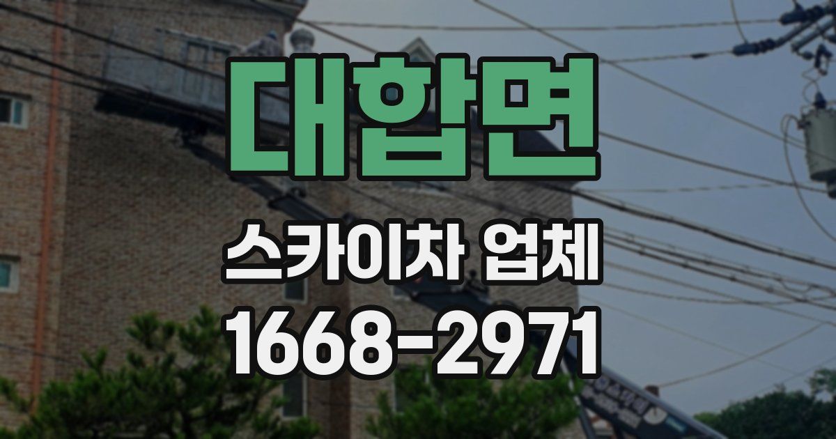 대합면 스카이차 업체