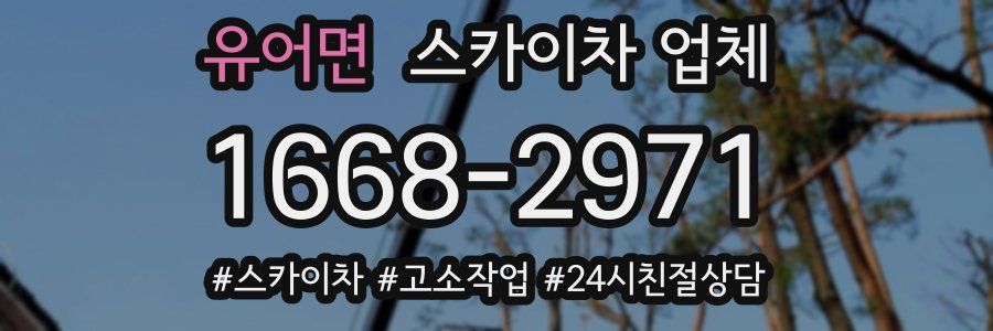 유어면 스카이차 업체