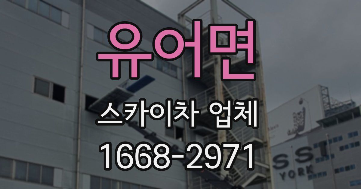 유어면 스카이차 업체