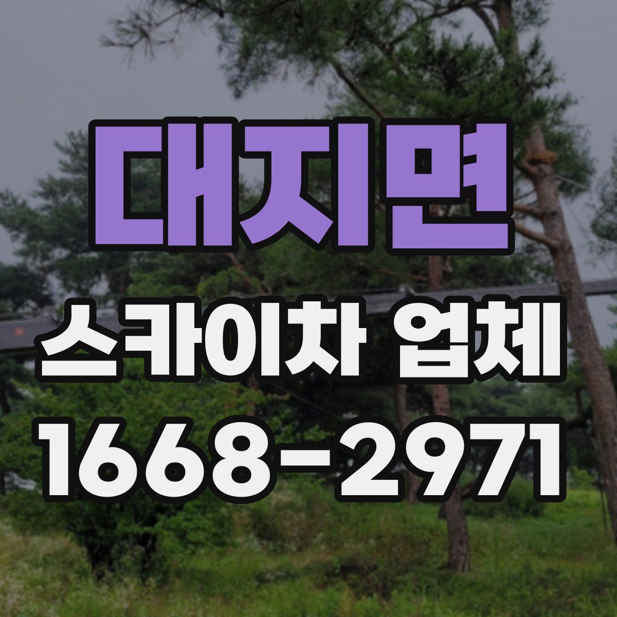 대지면 스카이차 업체