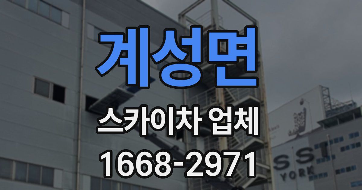 계성면 스카이차 업체