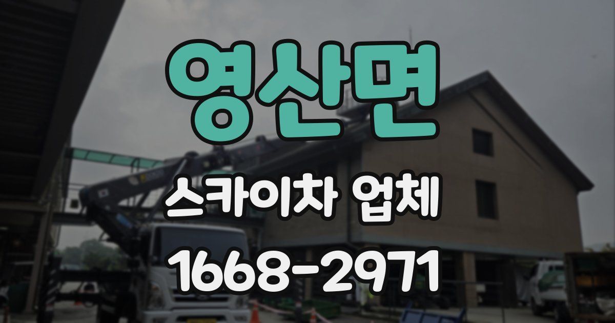 영산면 스카이차 업체
