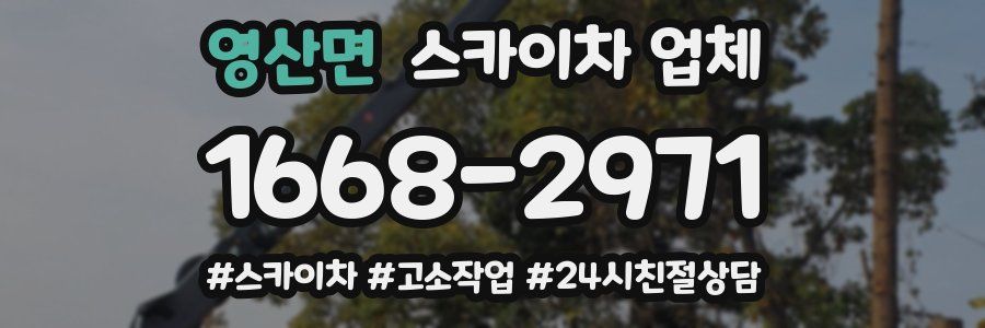 영산면 스카이차 업체