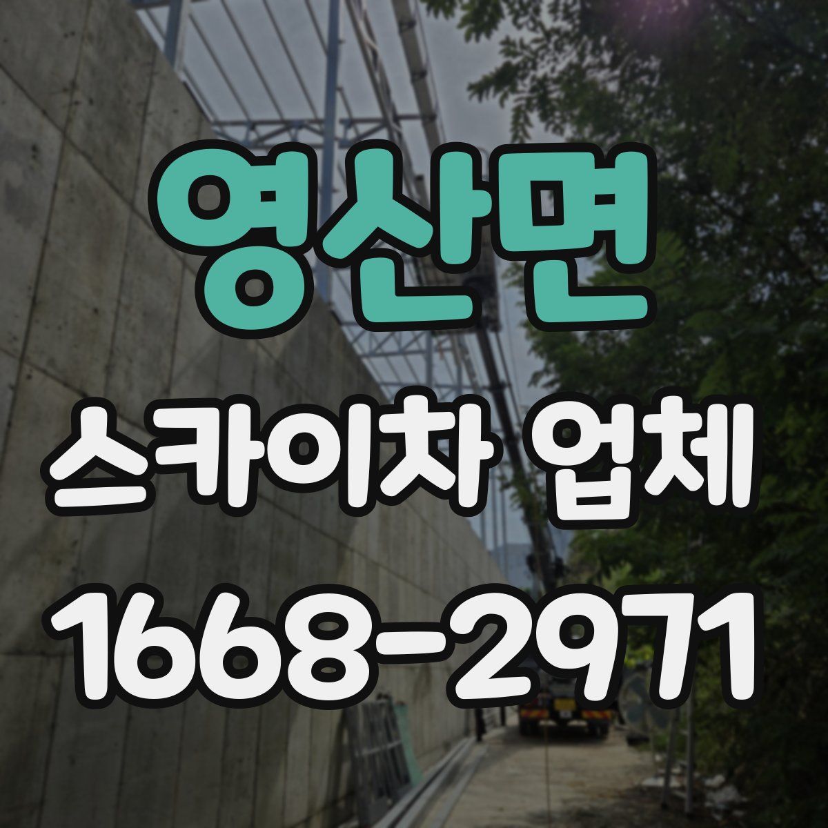 영산면 스카이차 업체