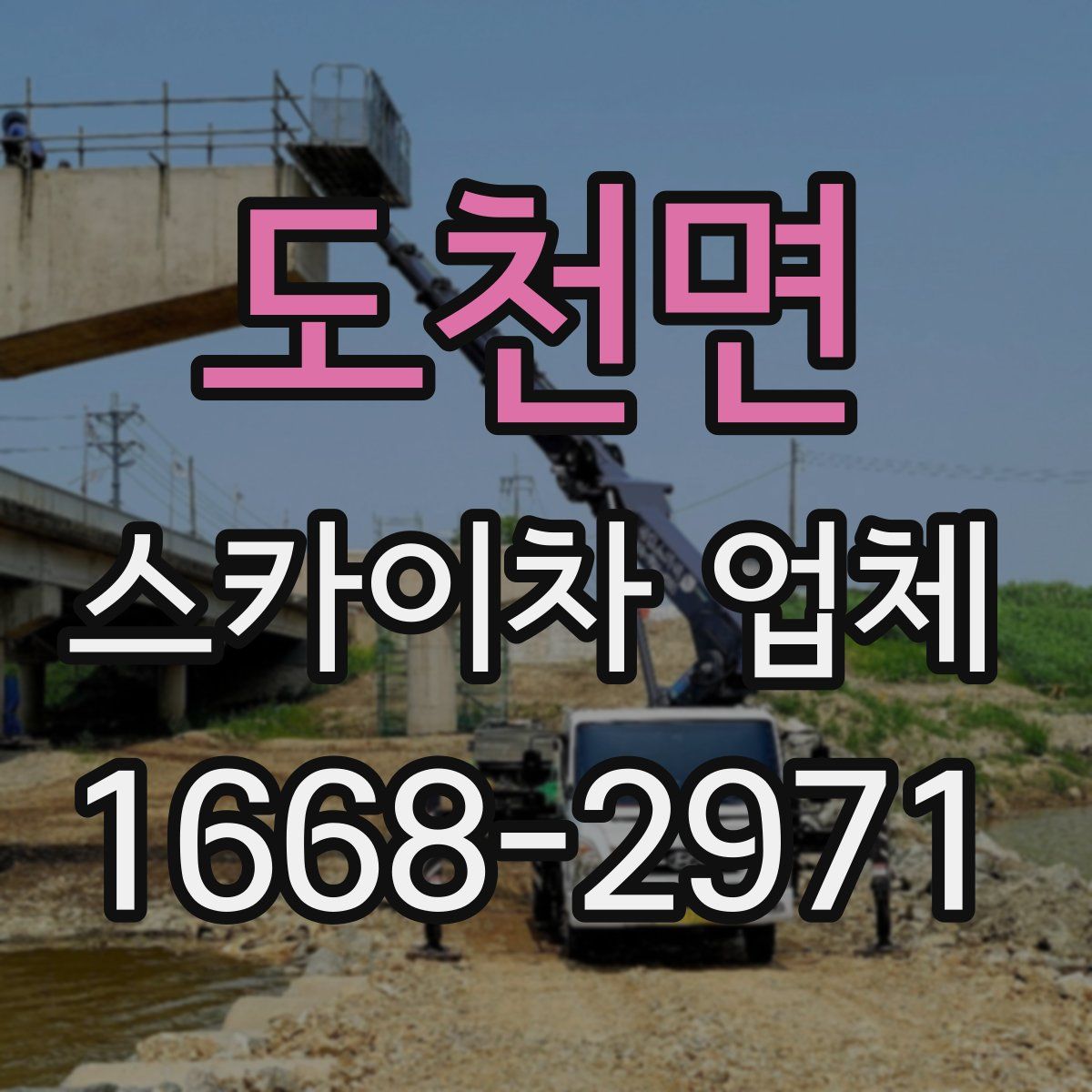 도천면 스카이차 업체