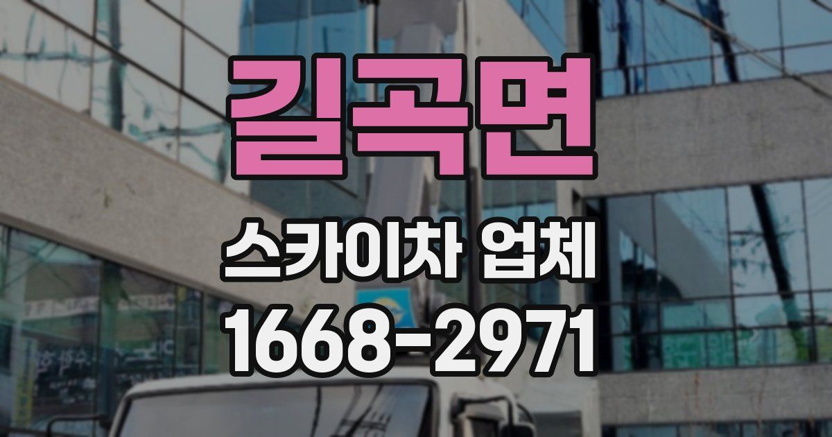 길곡면 스카이차 업체