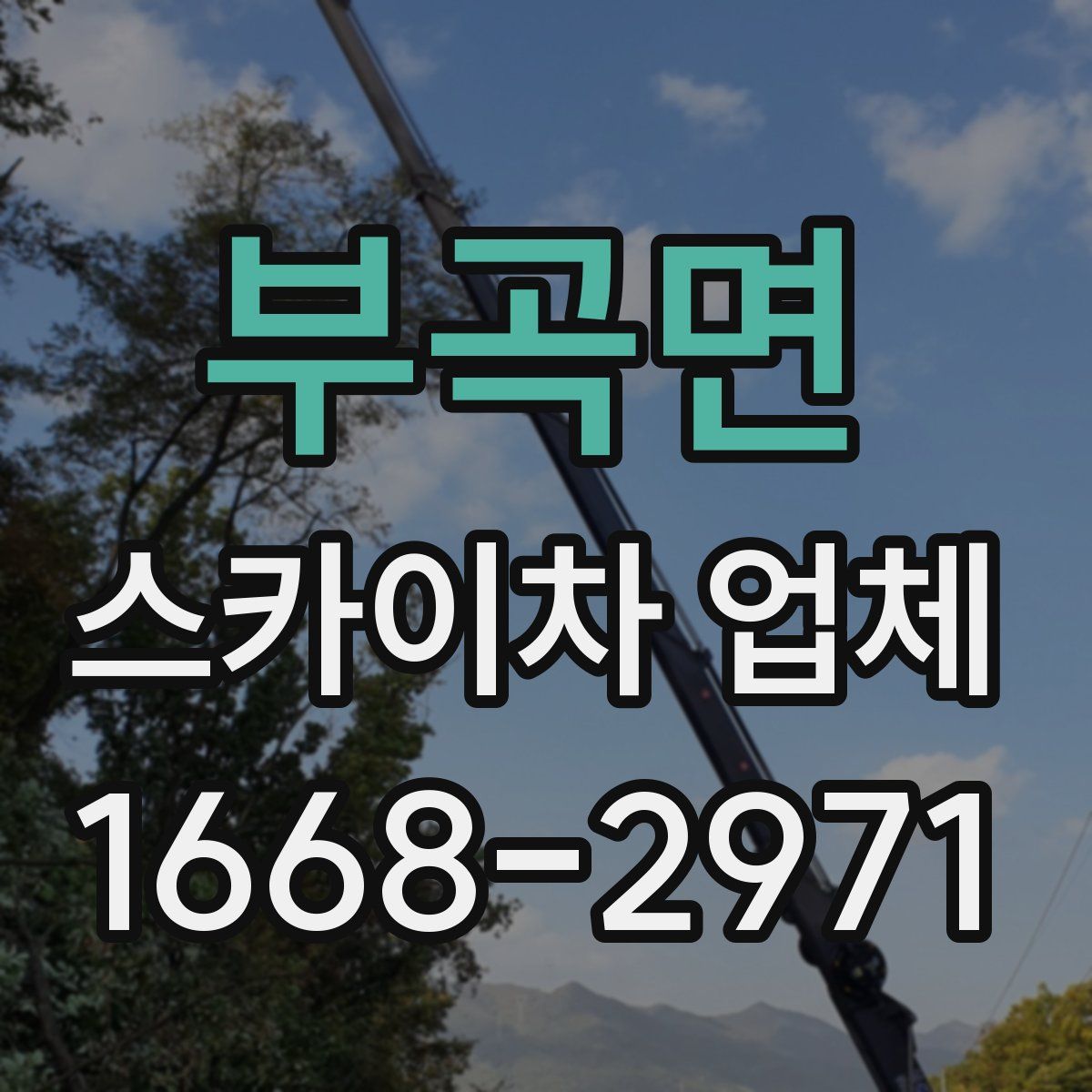 부곡면 스카이차 업체