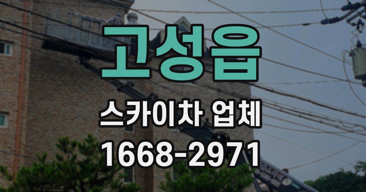고성읍 스카이차 업체