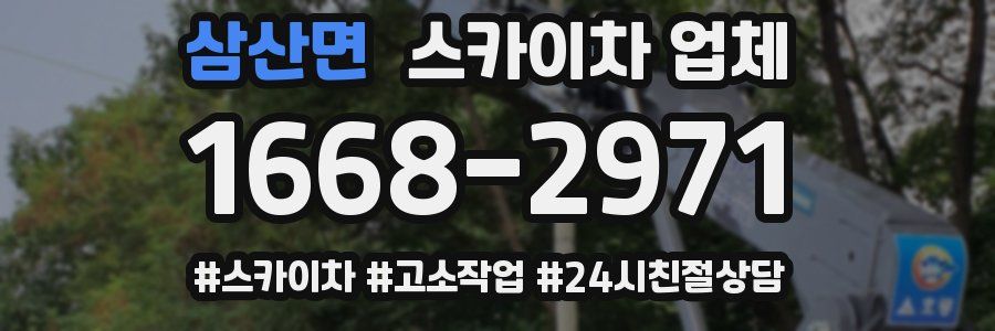 삼산면 스카이차 업체