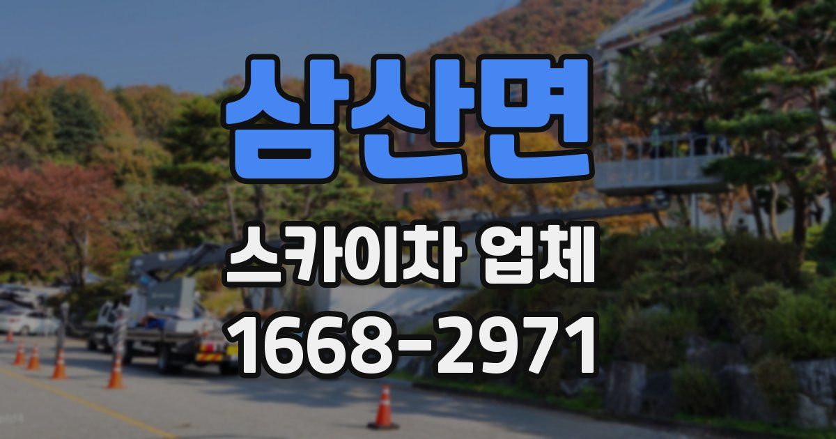 삼산면 스카이차 업체