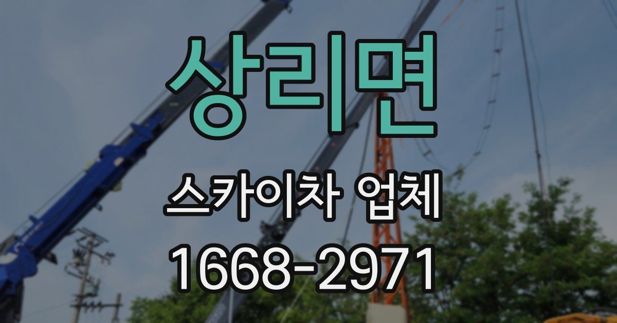 상리면 스카이차 업체