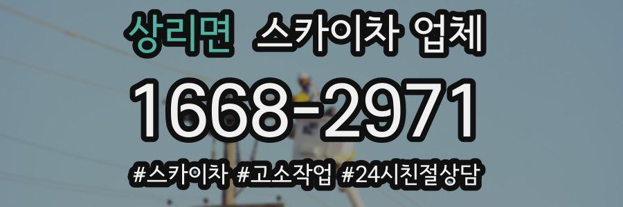 상리면 스카이차 업체