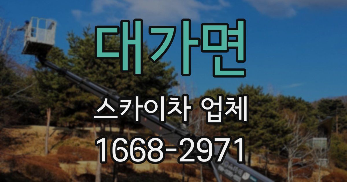대가면 스카이차 업체