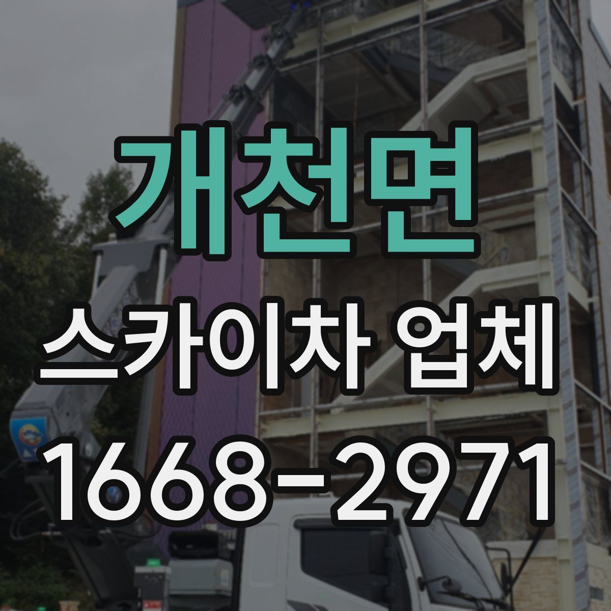 개천면 스카이차 업체