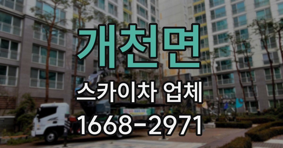 개천면 스카이차 업체