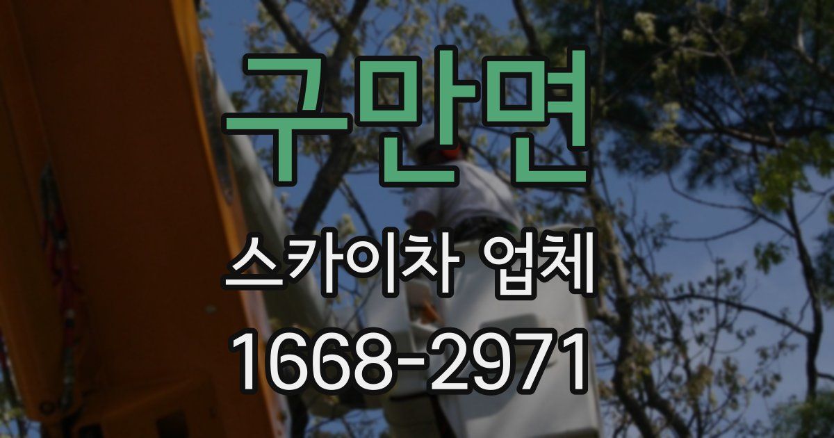 구만면 스카이차 업체