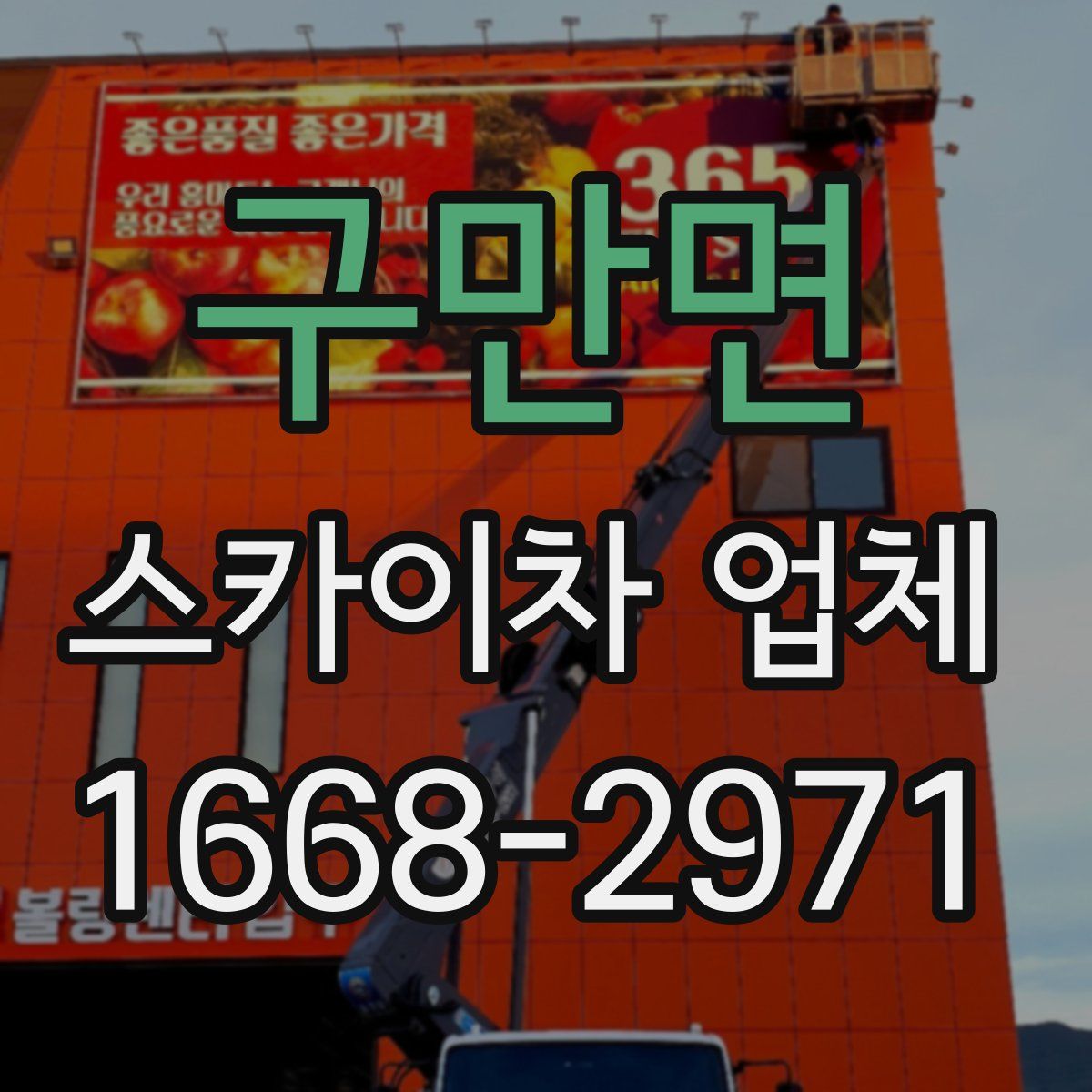 구만면 스카이차 업체