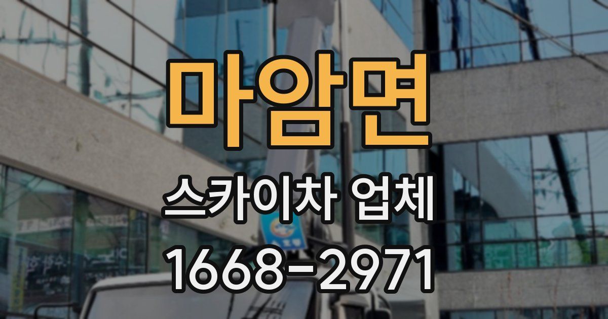 마암면 스카이차 업체