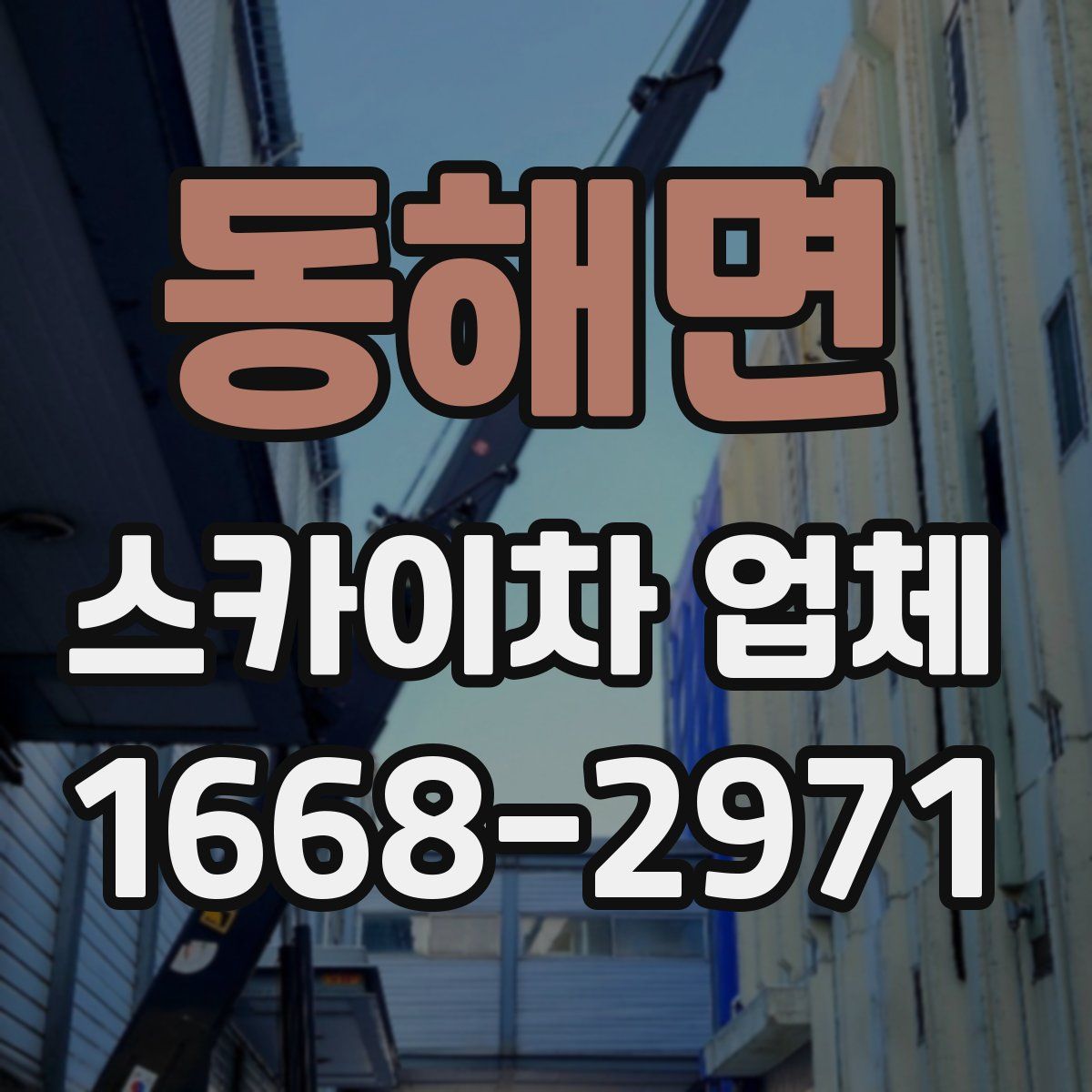 동해면 스카이차 업체