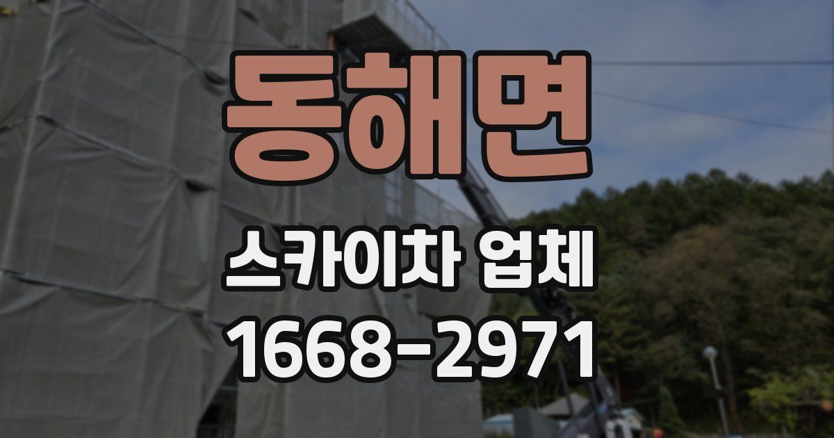 동해면 스카이차 업체